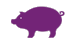 Schwein