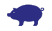 Schwein