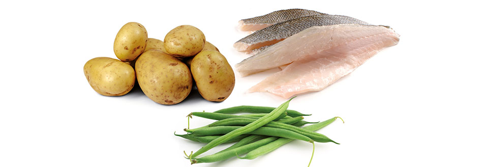 gedaempfter-wolfbarsch-mit-salzkartoffeln