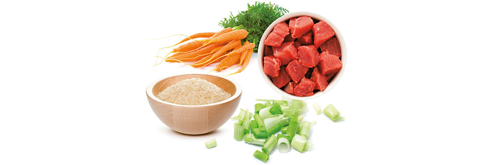 indonesisches-reisfleisch